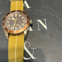 Tudor Blackbay Bronze