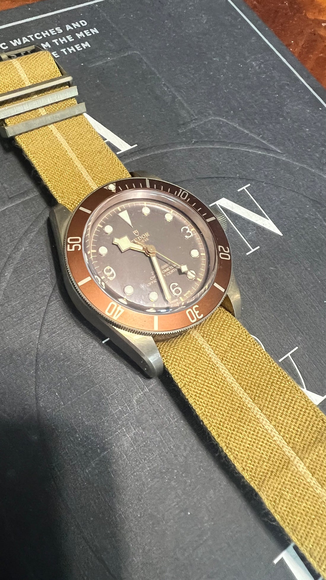 Tudor Blackbay Bronze