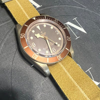 Tudor Blackbay Bronze