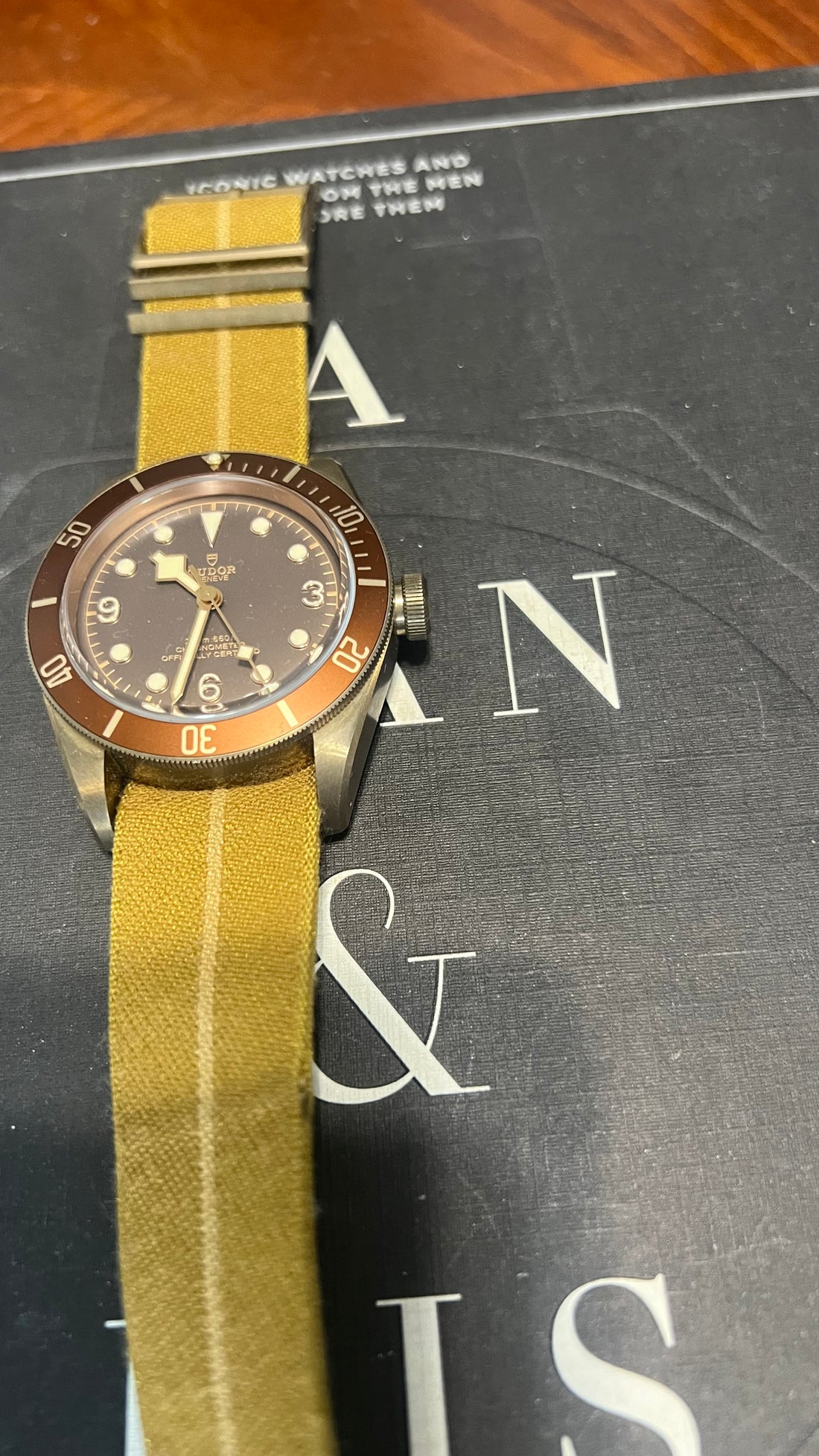 Tudor Blackbay Bronze